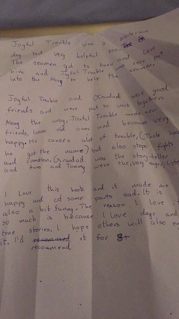 Joyful Trouble Review by 10 years old E from Ireland