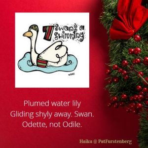 7th Day of Christmas Haiku, Swans a Swimming