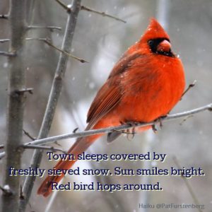 Happy, a Christmas Haiku. A joyous haiku about a red bird in winter.