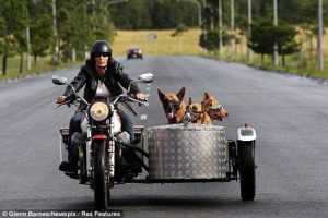 A Harley-Davidson, Brave Della Crewe and Trouble the Dog. A modern day Della Crewe