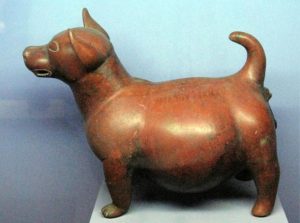 Colima Dog -a pot-bellied dog figurine from Mexico, State of Colima, 300 BC - 300 AD, ceramic
