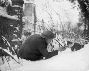 A British soldier “shaking hands” with a kitten in the snow. Neulette, France, 1917