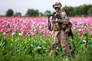 A soldier walking past a poppy field in Afghanistan