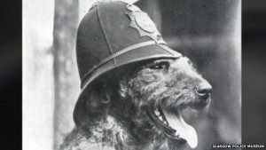 Edwin Richardson trained Airedale terriers for the police in Glasgow before supplying canine recruits for World War One.
