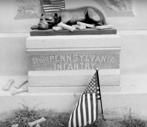 Sally, mascot of 11th Pennsylvania Infantry, American Civil War