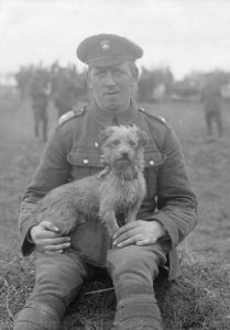 Sammy, dog mascot of the Northumberland Fusiliers WW1