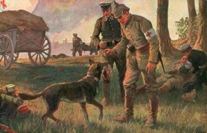 A German Sanitatshunde - Red Cross Dog. WW1. Source Metropostcard