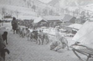 Amazing Roles dogs Played During WW1, part 3: Sled Dogs, Pulling Dogs. Poilus D’Alaska, "The Infantry from Alaska"