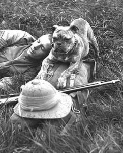 A sentry dog watching after a soldier