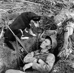WW1, Dogs in Trenches and Ratter Dogs.A war pup and his soldier friend