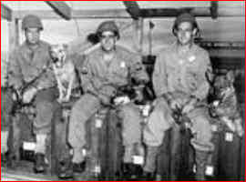 Six Members Of The 33rd QMC Patrol, , assigned to the 6th South African Armored Division in Italy, the first US K-9 patrol to help in Europe.