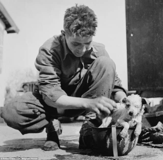 WW2 - Tunisia 1943, an American soldier using his helmet to wash a puppy. Source History Collection
