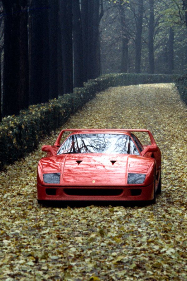 Autumn's crimson battle and a Ferrari, And leaves, like paparazzi, followed the Ferrari @PatFurstenberg