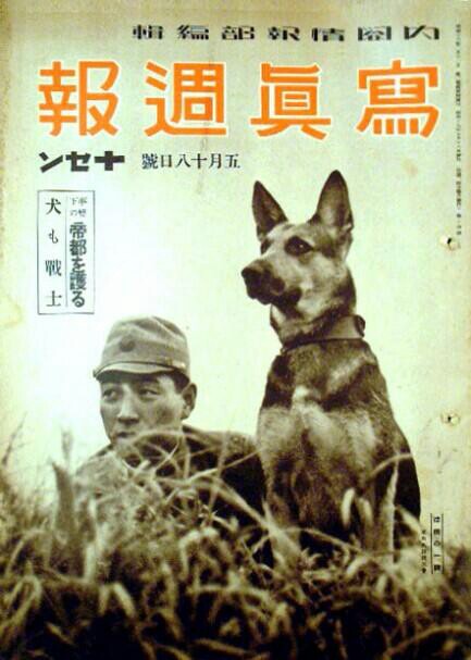 Japanese_dogs_WW2 propaganda. Source WW2 Film Inspector