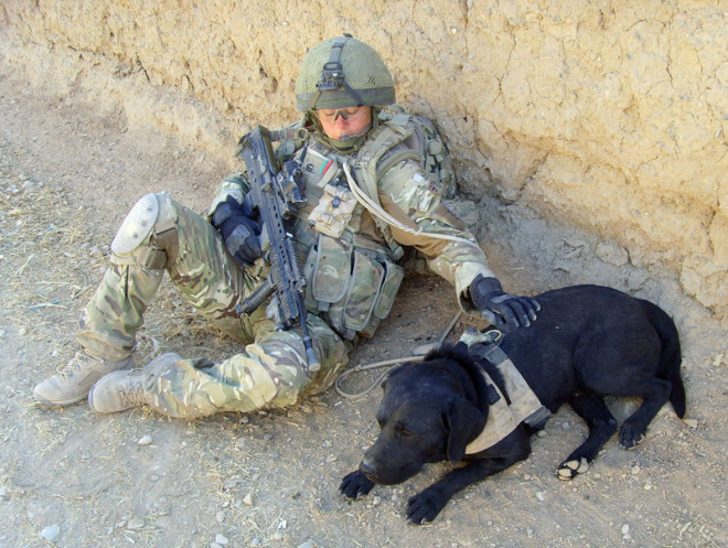 LCpl Natasha Mooney on patrol with Panchio in Helmand Province - Source British Army blog