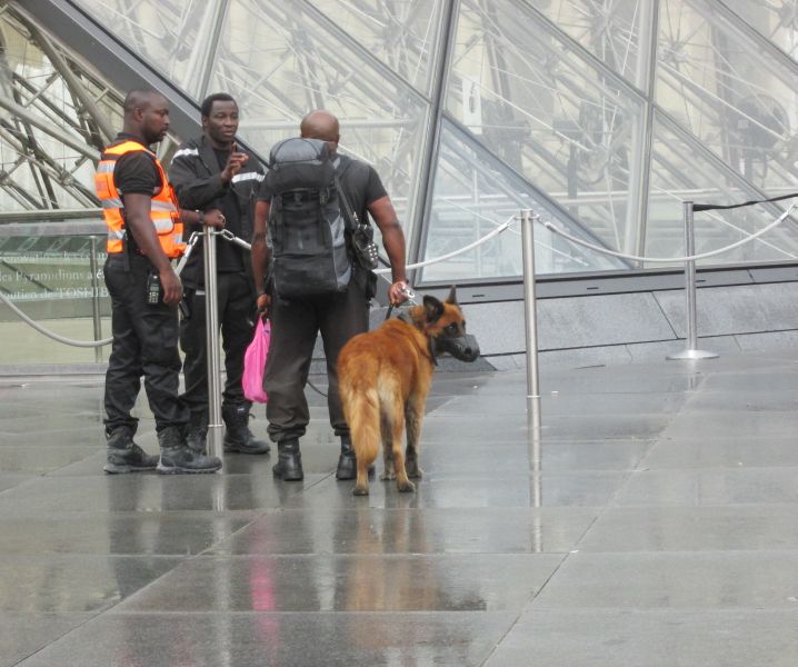 Military Dogs at Louvre Museum - fastest route to see the Mon Lisa