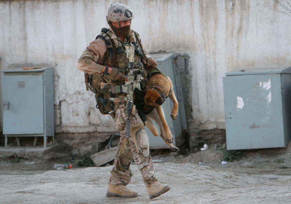 NATO soldier carries sniffing dog after gun battle in Kabul on April 16 2012. Source: Boston archive