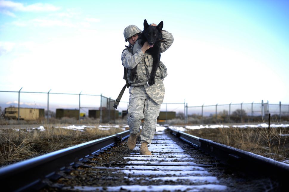 Training together: Staff Sgt. Erick Martinez, a military dog handler uses an over-the-shoulder carry to hold his dog, Argo II, at Hill Air Force Base, Utah. The exercise helps build trust, loyalty, and teamwork. Source Foriegn Policy.
