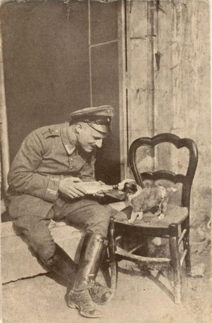 A German soldier feeds a puppy-History Collection.jpg
