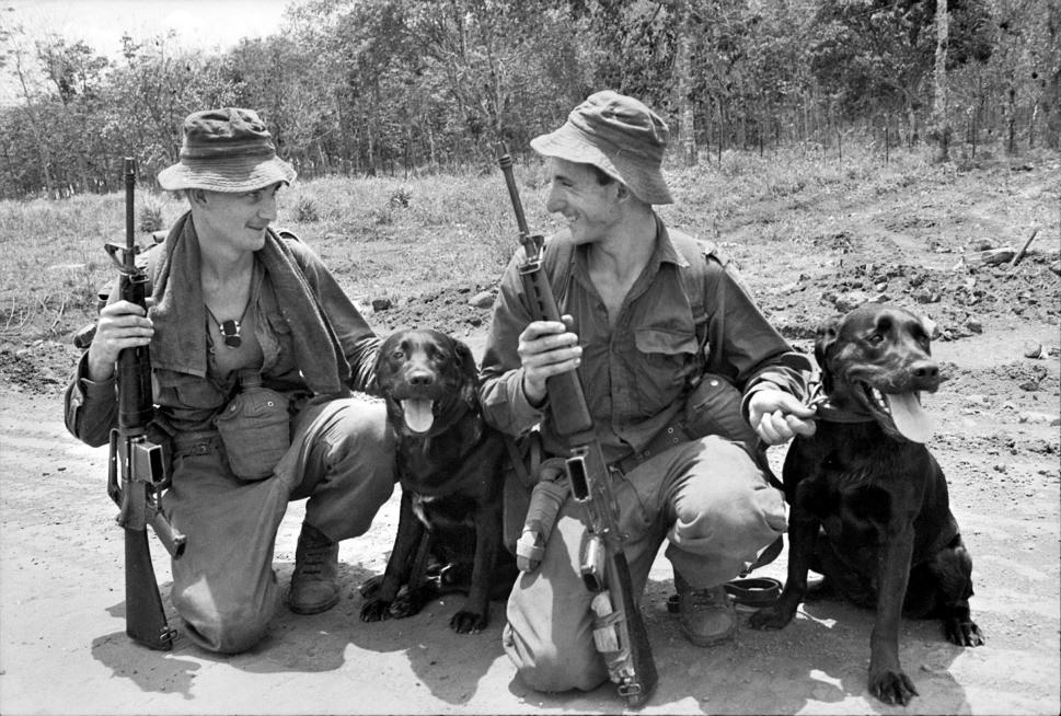 Two sniffer dogs, 1967, South Vietnam, 7th Battalion Royal Australian Regiment. Justin, left, and Cassius,right, with Lance Corporal Thomas Douglas and Cpl. Norman Leslie. Cpl Blackhurst, a radio operator, was killed in action in April 1971 while calling in a helicopter for a medical evacuation. The helicopter crashed, killing L Cpl. Blackhurst, another officer on the ground, as well as the medic on board. Source Foreign Policy.