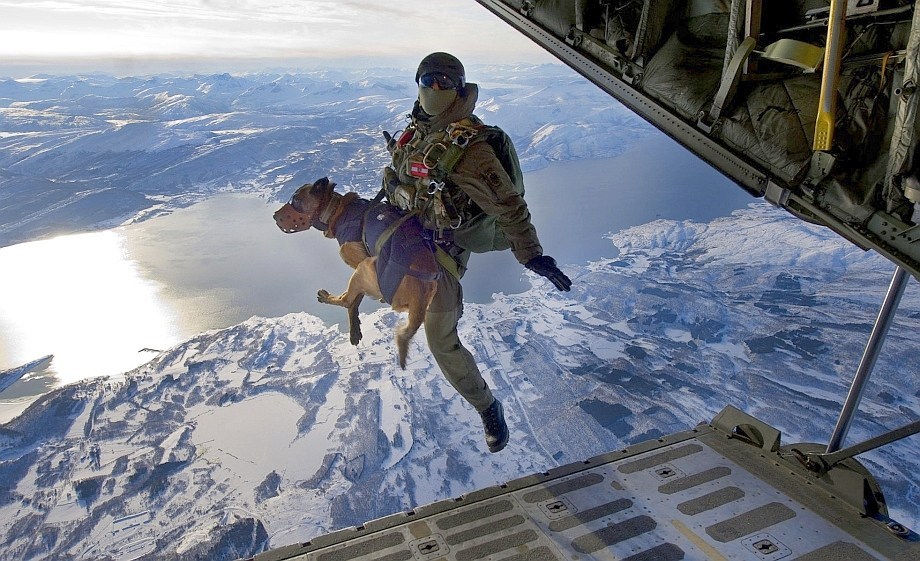 Military dogs trained to accompany soldiers on 'High Altitude High Opening' (HAHO) parachute jumps. Source Foreign Policy