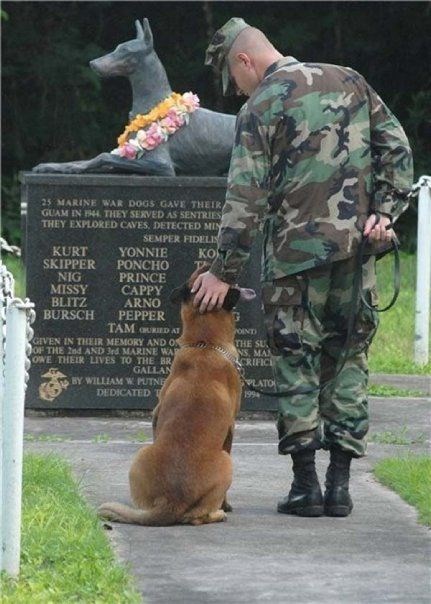 Marine war dogs memorial, Military Working Dogs in Gulf, Iraq, and Afghanistan War.