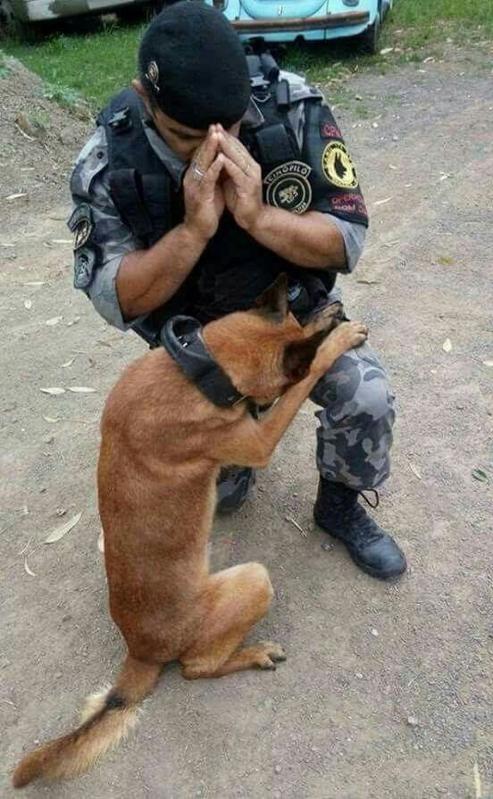 Praying together. A military dog and his human handler, Military Working Dogs in Gulf, Iraq, and Afghanistan War.