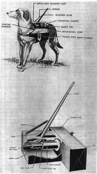 The mechanism behind a bomb detonating dog - source WW2 Film Inspector