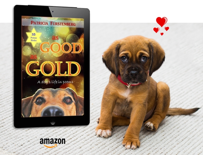 As Good as Gold, poetry for dog lovers