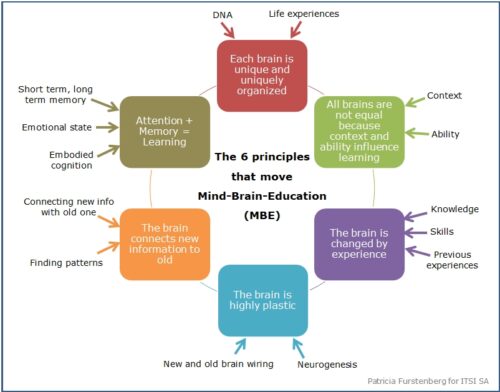 the 6 principles that move Mind Brain Education - Patricia Furstenberg