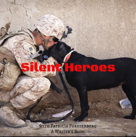 Dogs, the Silent Heroes of any war