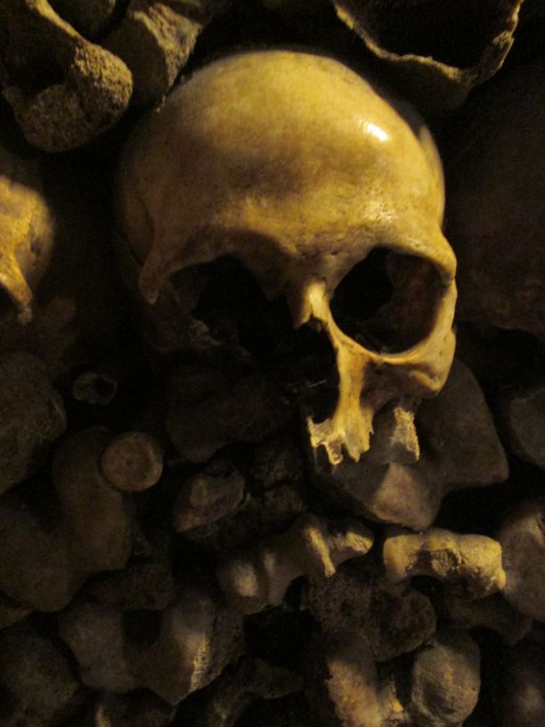 Human skull, close up - Paris Catacombs