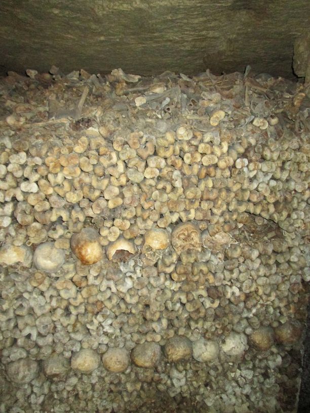 The first wall of skulls and bones in the Paris  Catacombs.  