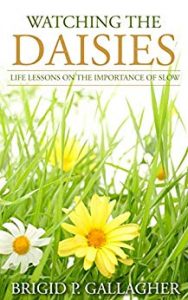 Watching the Daisies Brigid P. Gallagher. Books for Christmas gift ideas, feed your kindle