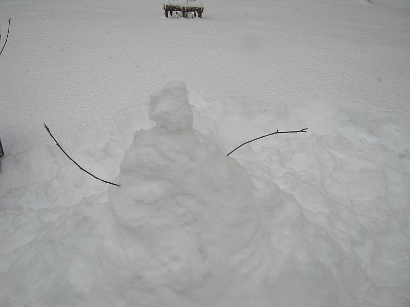 a first winter's snowman