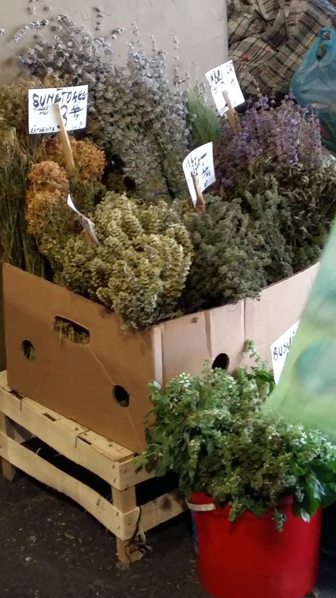 fragrant herbs Romanian folklore
