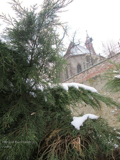 The Legend of Christmas Tree, the Bird and the Fir Tree - outside Sighisoara fortress walls