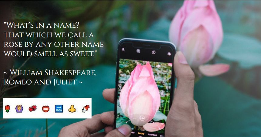 a Shakespeare rose quote using emoji, Rose Language Shakespeare Birthday