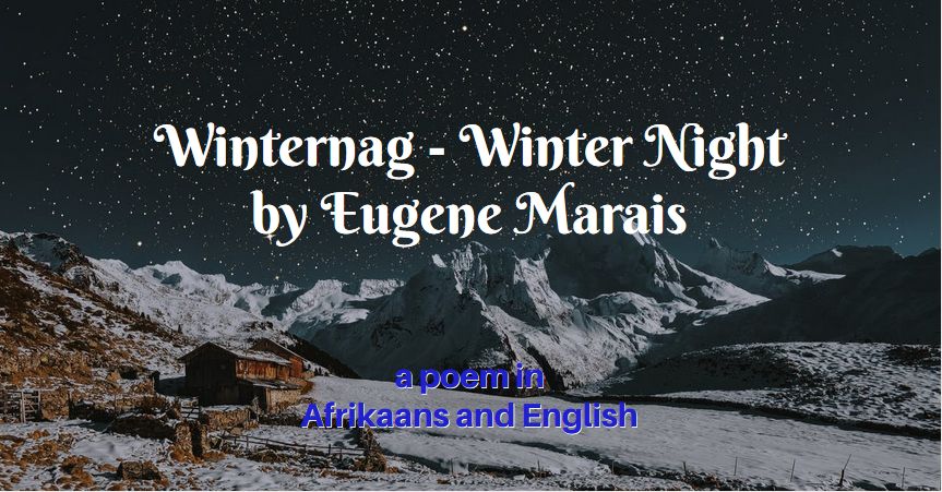 winter night winternag poem