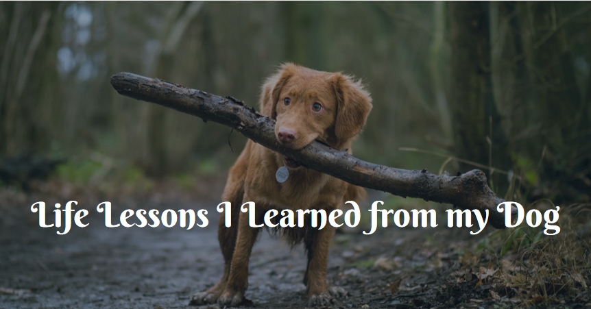 life lessons I learned from my dog