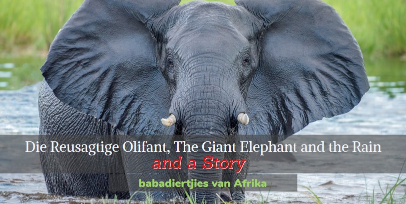 Die Reusagtige Olifant, The Giant Elephant and the Rain