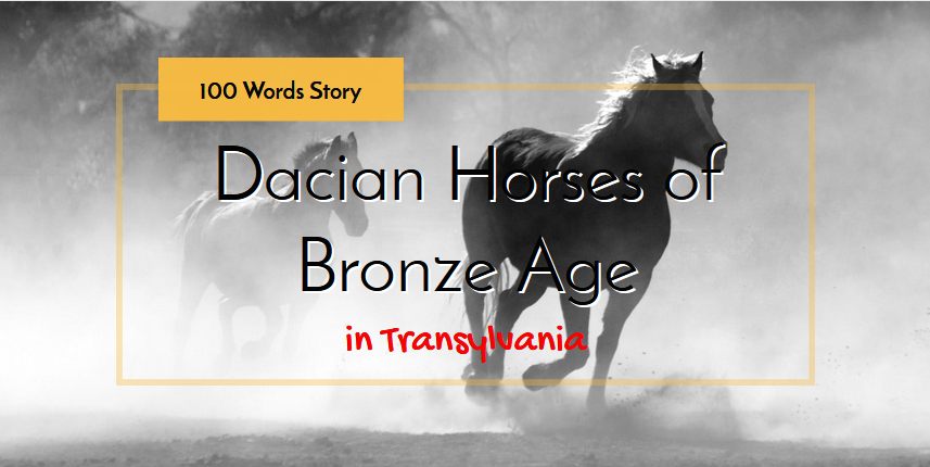 Dacian Horses of Bronze Age