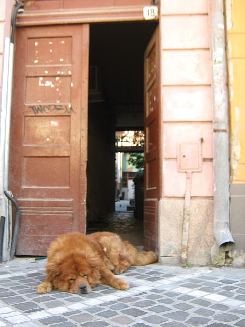 Brasov, where Doors hide Surprise, travel photography