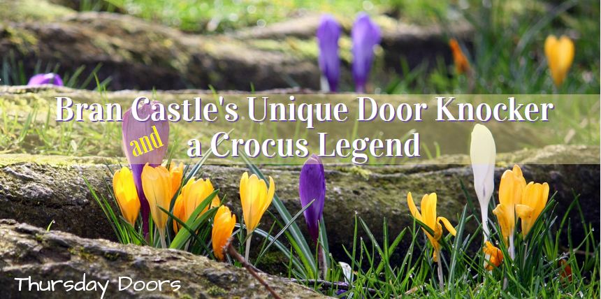 Bran Castle's Unique Door Knocker and a Crocus Legend