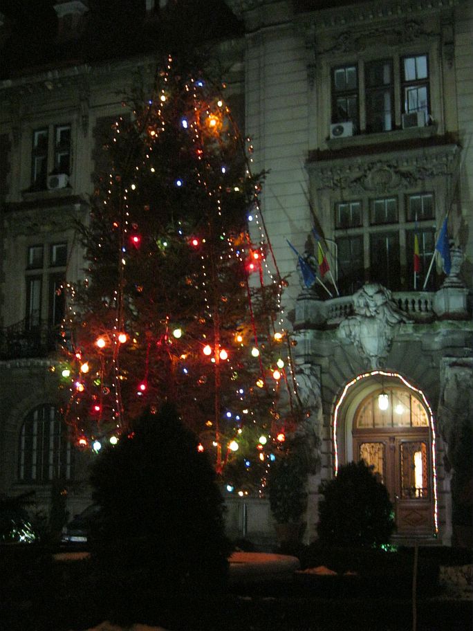 Christmas tree by the Palace of Agriculture and Domains Bucharest