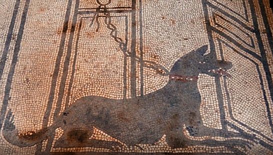 Another Cave Canem Dog Pompeii art, Dogs, Man's Best Friend, Illustrated by Art, Ancient World to 20th Century