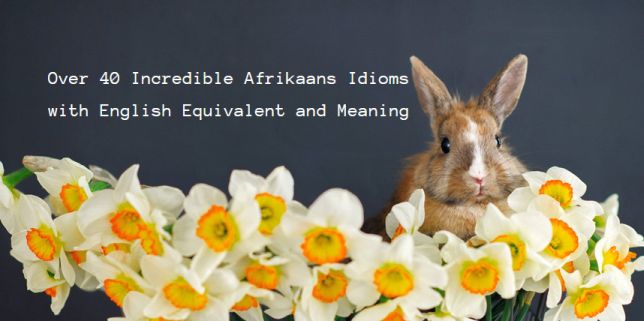 Afrikaans Idioms with English Equivalent and Meaning