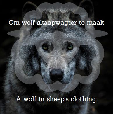 Afrikaans Om wolf skaapwagter te maak  = To make wolf shepherd.. A wolf in sheep's clothing.