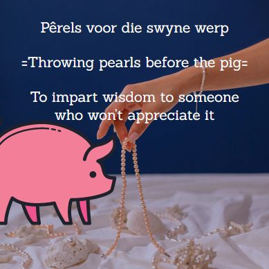Pêrels voor die swyne werp/gooi, = To cast pearls before the swine - To impart wisdom to someone who won’t appreciate it 