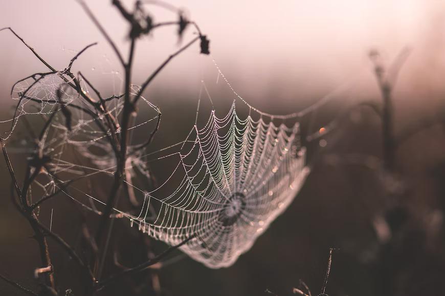 spider myth legend Romanian folklore